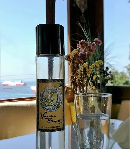 Lägenhetshotell Voreades Tínos